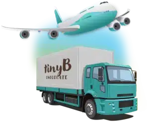 land & air transportation for shipping